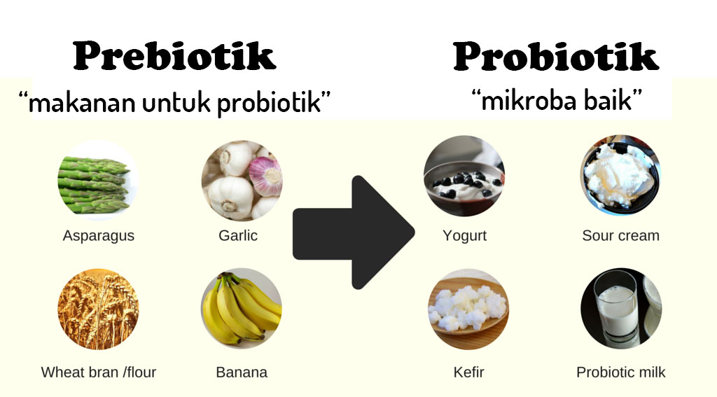 Perbandingan Prebiotik versus Probiotik Topikal dalam Skincare