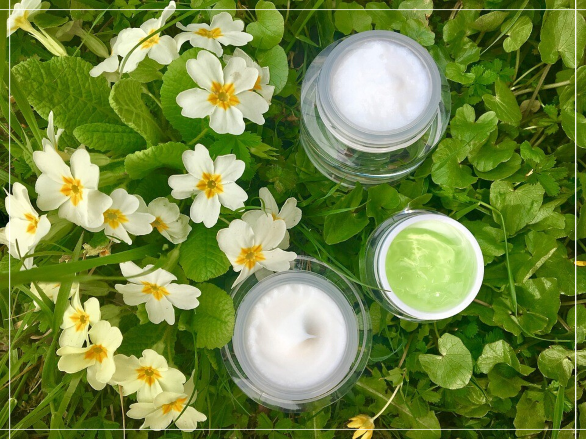 Tren Konsumen dan Preferensi kosmetik Organik